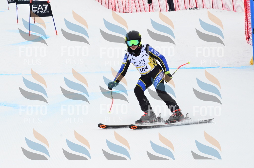 _ELE3870 | holidayphoto