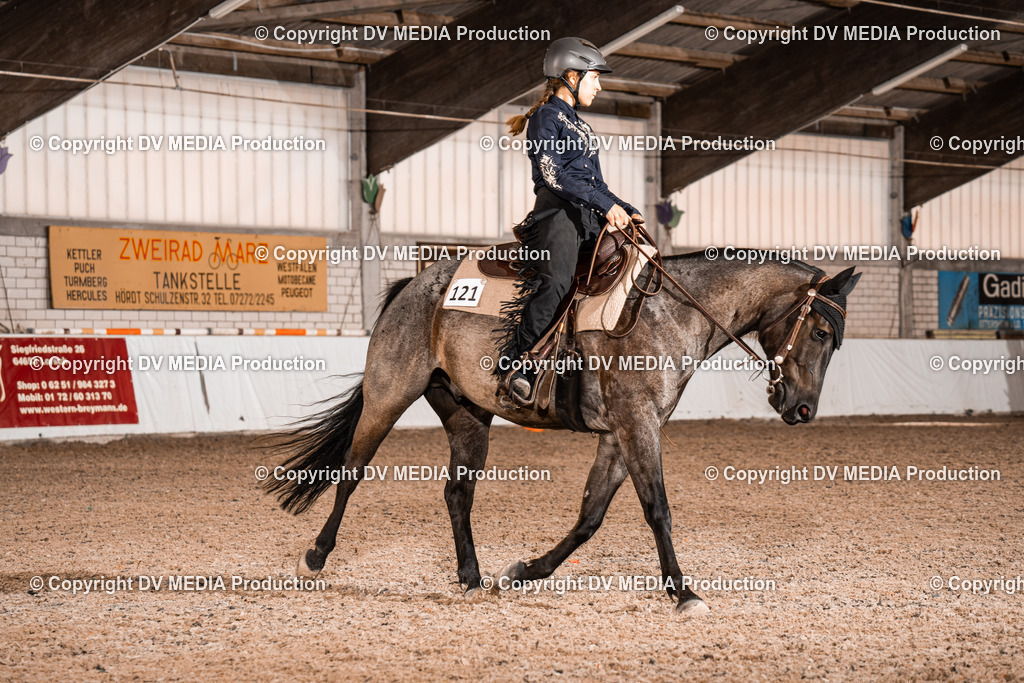 ZH100183 | dv-media-shop - Realisiert mit Pictrs.com