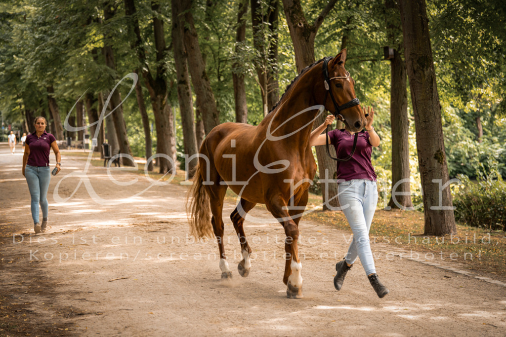 FrPfM00275 | Leoni Ertmer Photography - Realisiert mit Pictrs.com