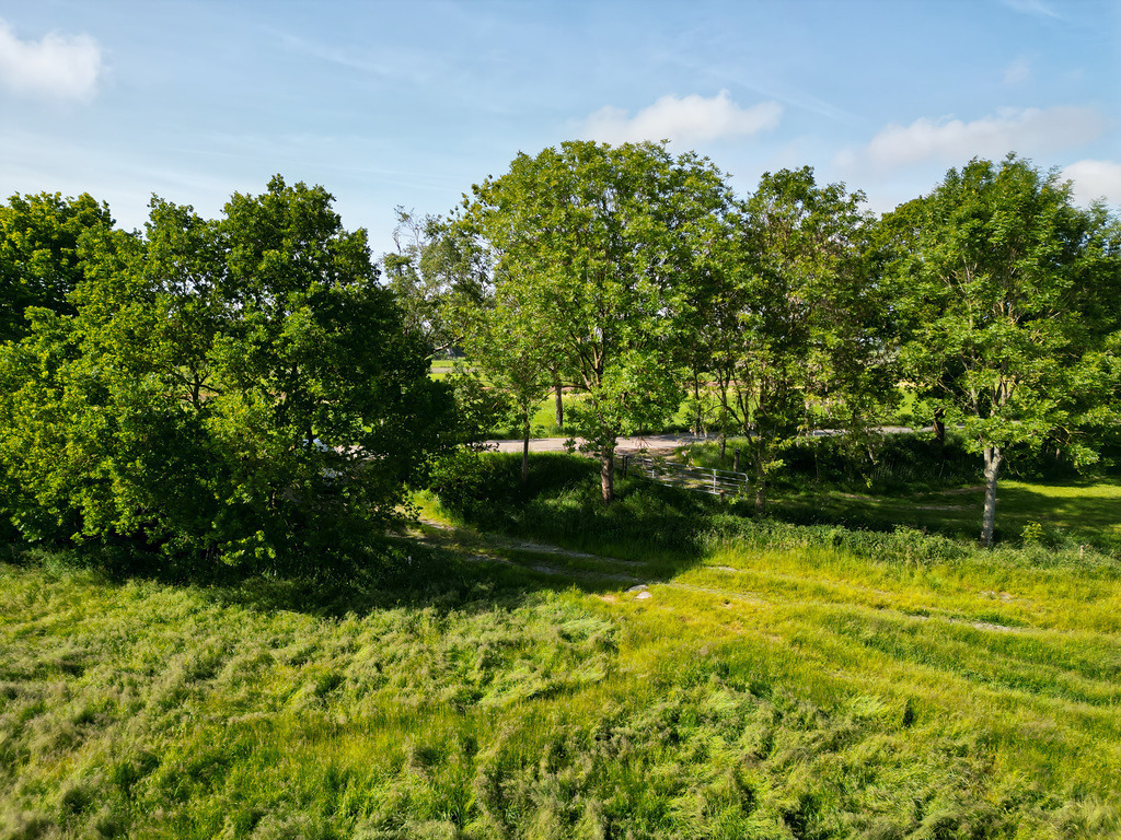 Bild 11 | naturepictures1332 - Realisiert mit Pictrs.com