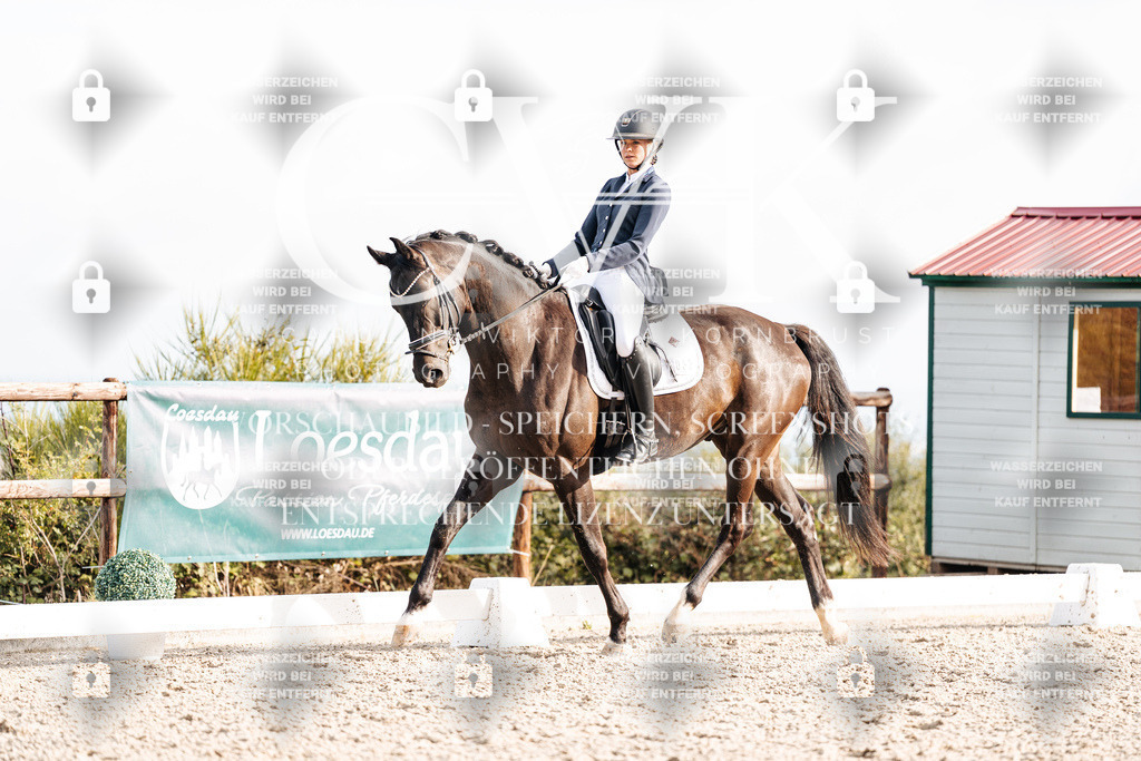 CK901129 | Turnierfotografie Pferdefotografie Trier Rheinland-Pfalz Pferdesport Reitsport Tierfotografie Sportfotografie Pferdevideo Pferdevideografie Equestrianvideography equestrianphotography  - Realisiert mit Pictrs.com