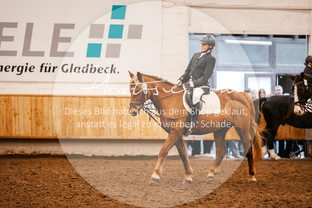 3I6A3397 | Stimmungsvolle Portraits und Reitsportfotografie im Ruhrgebiet und im Münsterland.

Pferdefotografie, Hundefotografie, Tierfotografie, Reportagen, Portraits von Tier und Mensch, Turnierfotografie in Bochum, Recklinghausen, Marl, Haltern am See, Dülmen.. - Realisiert mit Pictrs.com
