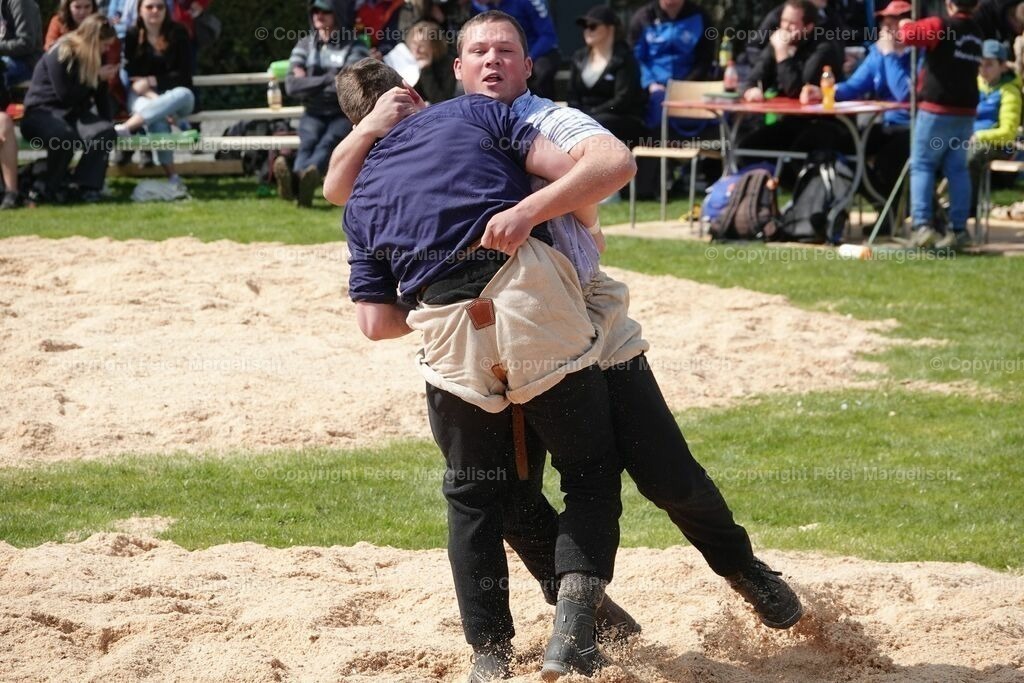 k-DSC03039 | Schwingen - Realisiert mit Pictrs.com