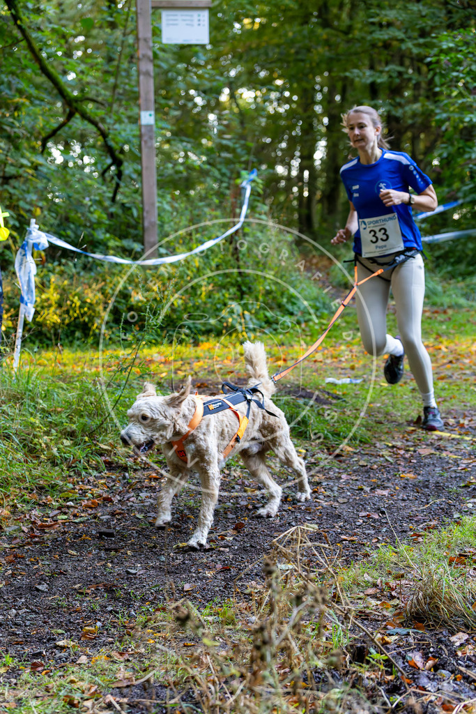 Pfotenfotografie_DV3A6714 | Hundefotografie, Tierfotograf, Pfotenfotografie, Fotoshooting Hund, Hunde Portrait, Hundesport, Hundeportraits, Heideshooting, Hunde, Sportfotograf, Hundefotograf, Turnierhundsport, THS,  - Realisiert mit Pictrs.com