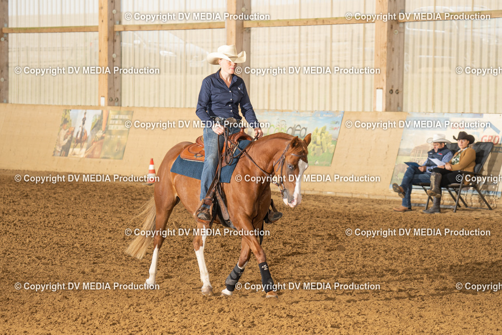 LAU00590 | dv-media-shop - Realisiert mit Pictrs.com