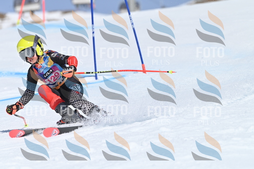 BGV_9974 | holidayphoto