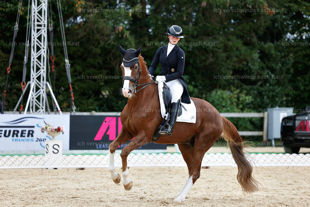 11-201-Dressur S___-StoibPH-948 | working equitationturnier fotograf videograf stoibphotography marixx film working equitation deutschland reitsport turnierfotografie eventfotografie equestrian events