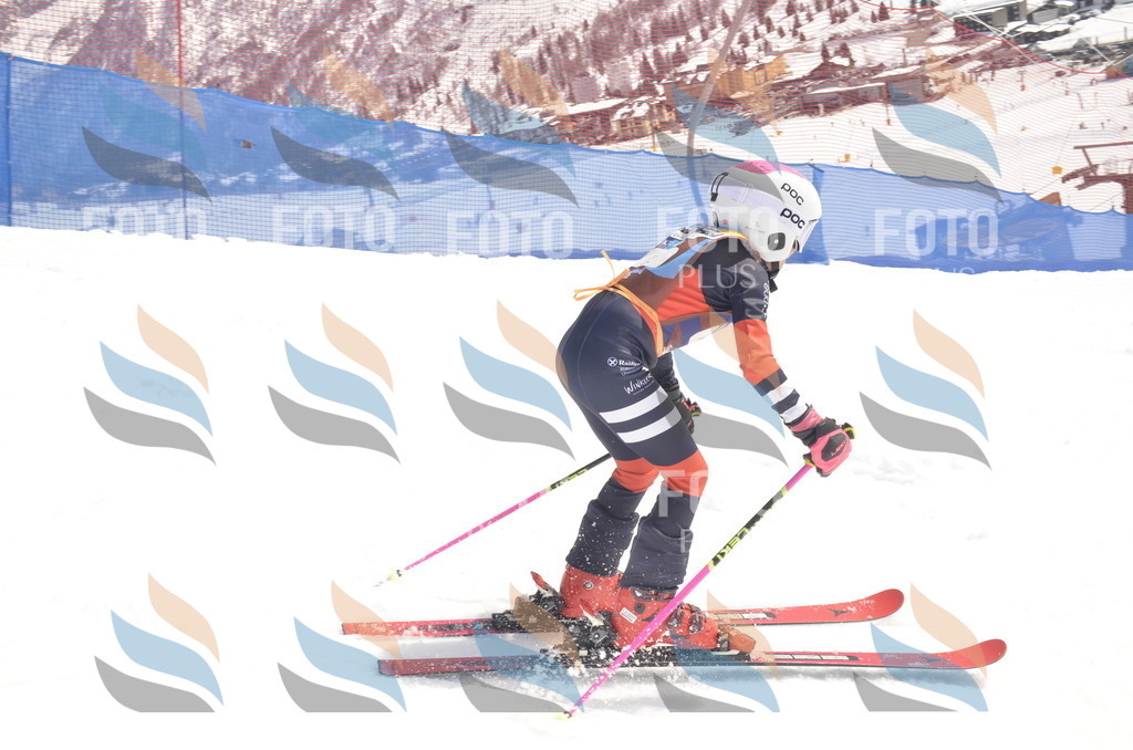 _ELE8579 | holidayphoto