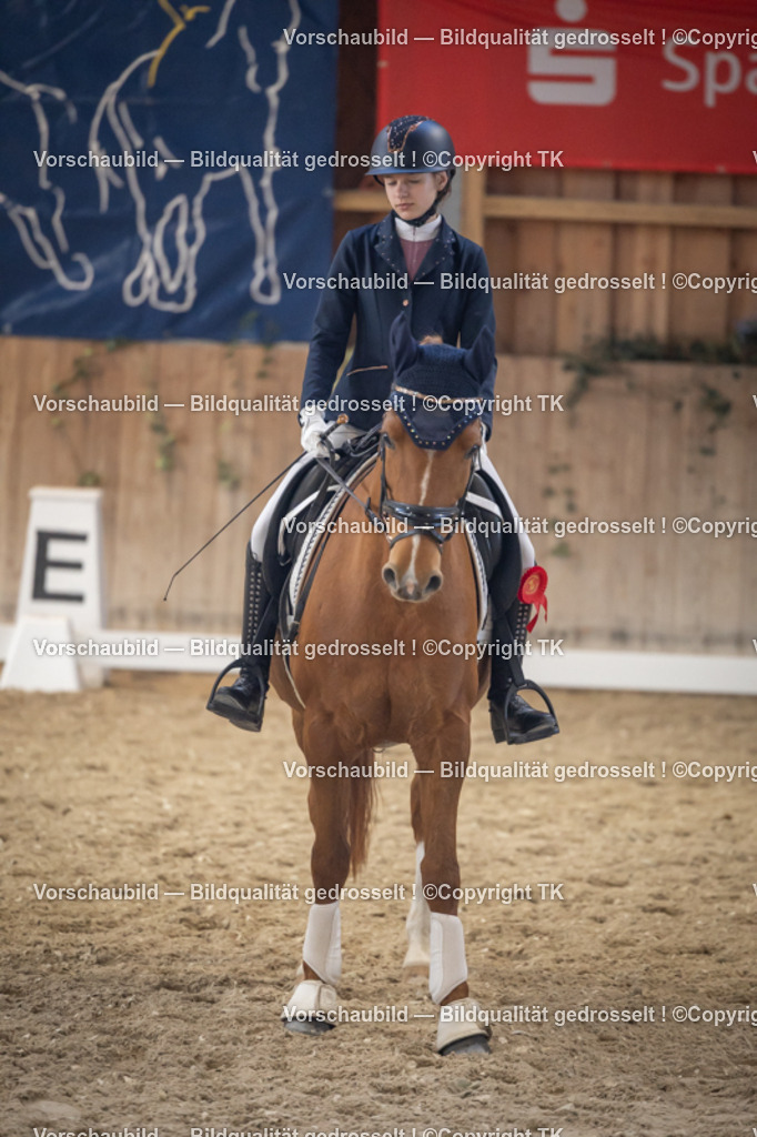 _D5A2538 | Emotionale Pferde- & People-Fotografie rund um Heidelberg, Leimen & Umgebung. Natürliche Fotos von Pferd, Mensch & Familie. Jetzt Termin sichern!