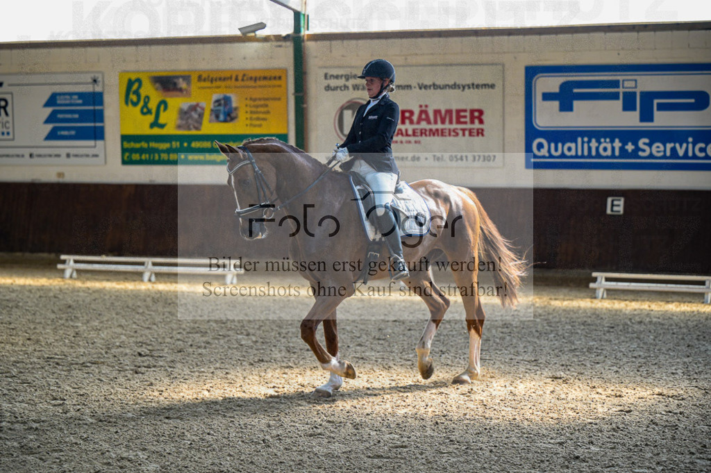 Reitturnier Voxtrup | Entdecke hochwertige Reitturnierfotos von Foto Oger. Professionell, emotional und authentisch – jetzt Lieblingsmomente im Shop bestellen.Deutschlandweite Turnierfotografie. - Realisiert mit Pictrs.com