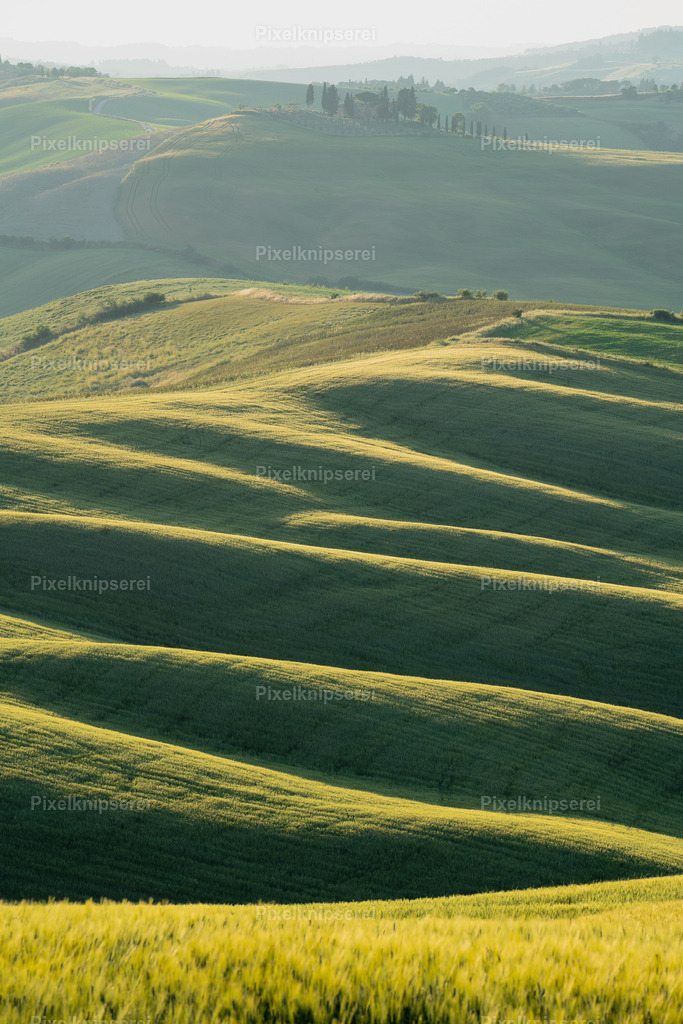 Toskana | Fotograf Tirol Imst Pixelknipserei - Realisiert mit Pictrs.com