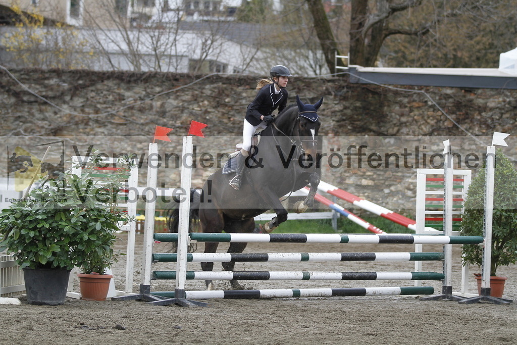 _MG_3480 | equestrian-live-com