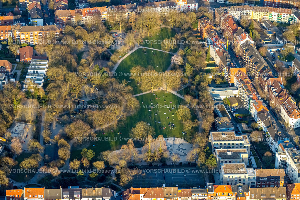 Muenster220304268 | Luftbild, Wiese zum Sonnenbaden im Südpark, Münster, Münsterland, Nordrhein-Westfalen, Deutschland