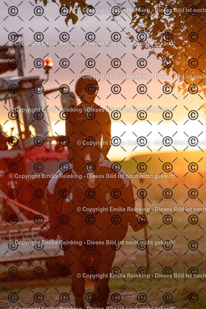 CL5A0658 | Emilia Reinking Fotografie - Realisiert mit Pictrs.com