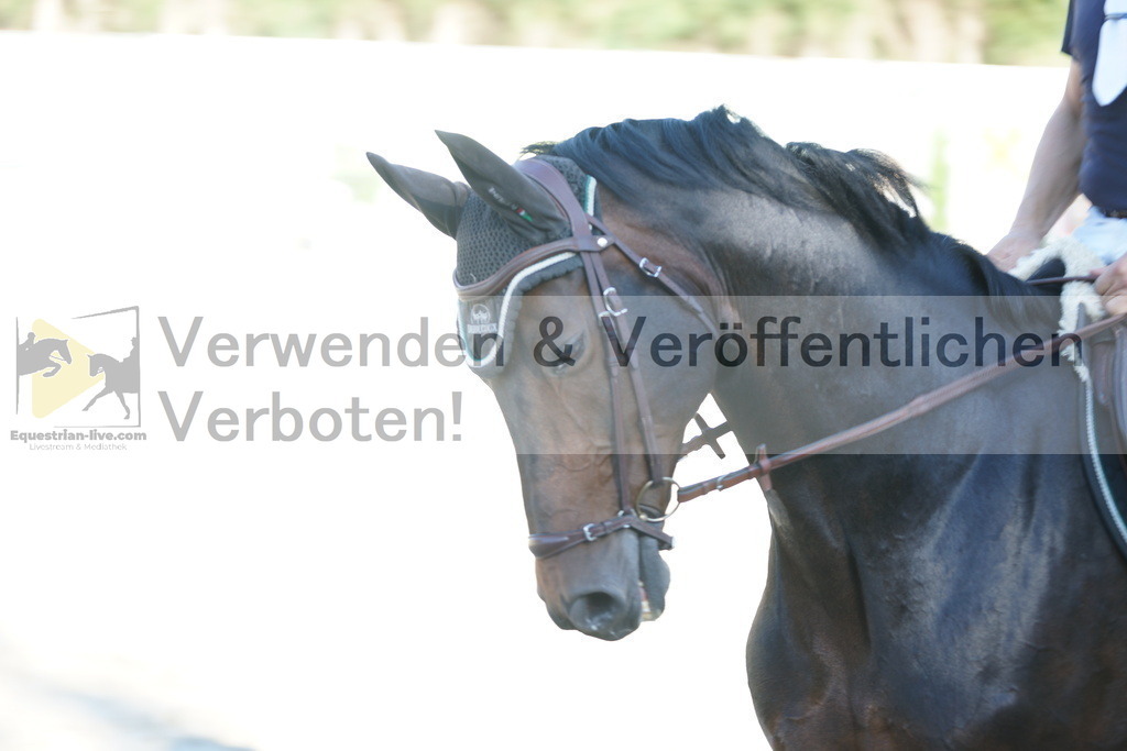 DSC01369 | equestrian-live-com