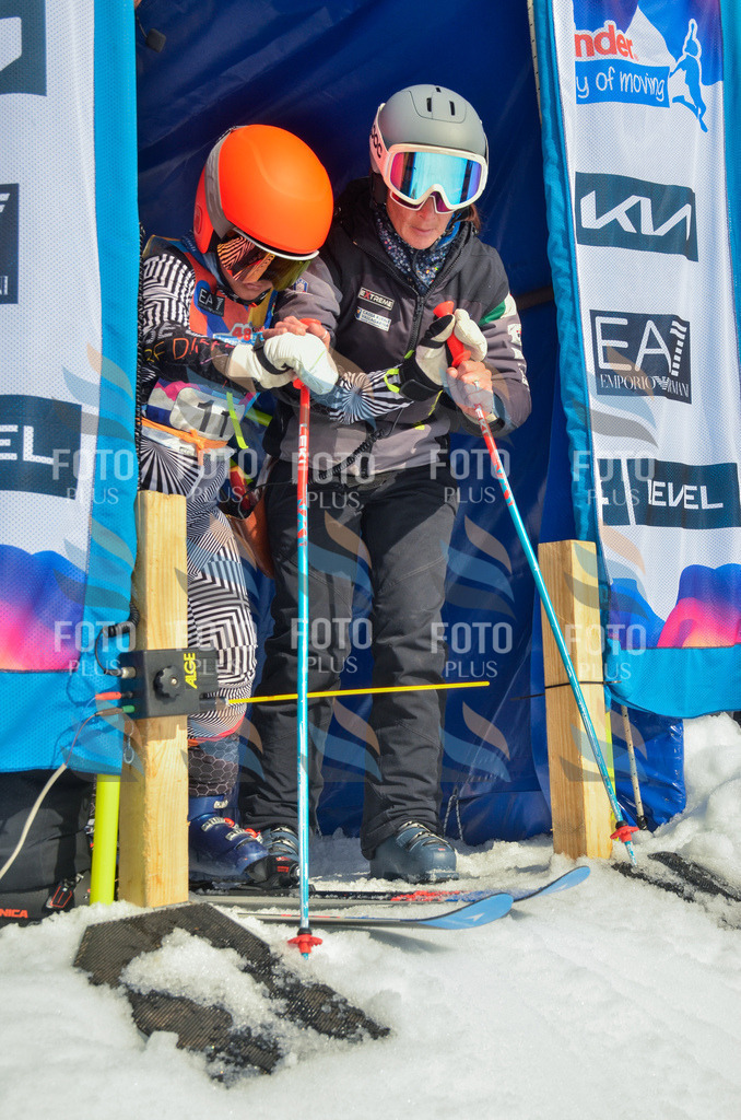 _ELE4563 | holidayphoto