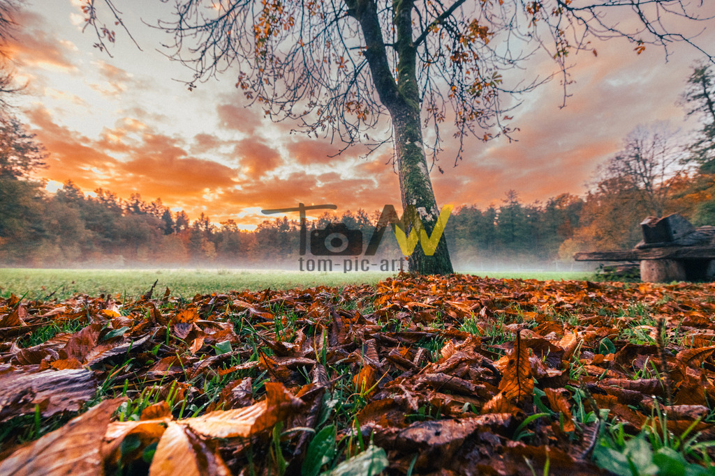 Sonnenaufgang im Herbst | Hochauflösende und hochwertige Bilder und Fotos.Kommerzielle oder private Nutzung ✔ Bilder downloaden✔ Acryl ✔ Leinwand ✔ Poster ✔
 - Realisiert mit Pictrs.com