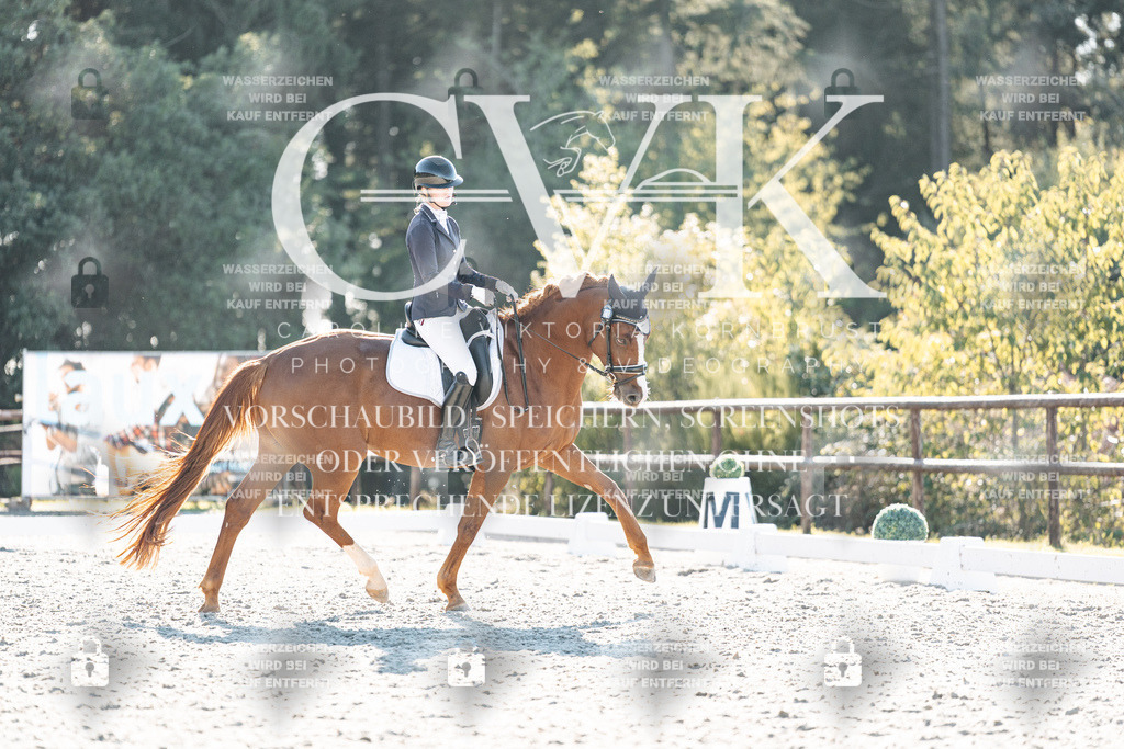 CK906833 | Turnierfotografie Pferdefotografie Trier Rheinland-Pfalz Pferdesport Reitsport Tierfotografie Sportfotografie Pferdevideo Pferdevideografie Equestrianvideography equestrianphotography  - Realisiert mit Pictrs.com