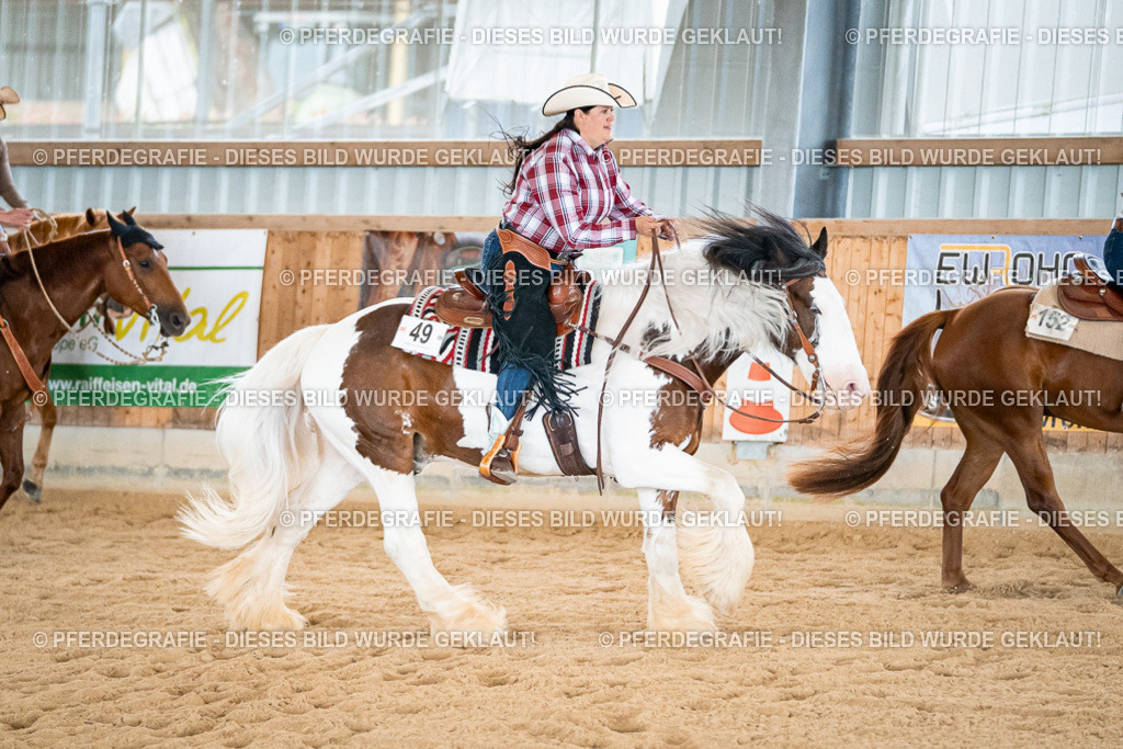 DSC00282 | Pferdegrafie