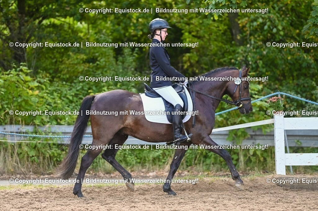20230716_04_Dressurreiterprüfung Kl.A_0476 | equistock