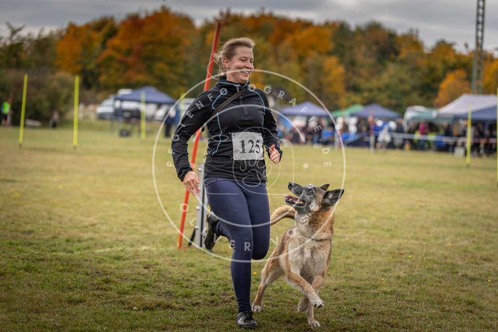 Pfotenfotografie_DV3A6937 | Hundefotografie, Tierfotograf, Pfotenfotografie, Fotoshooting Hund, Hunde Portrait, Hundesport, Hundeportraits, Heideshooting, Hunde, Sportfotograf, Hundefotograf, Turnierhundsport, THS,  - Realisiert mit Pictrs.com