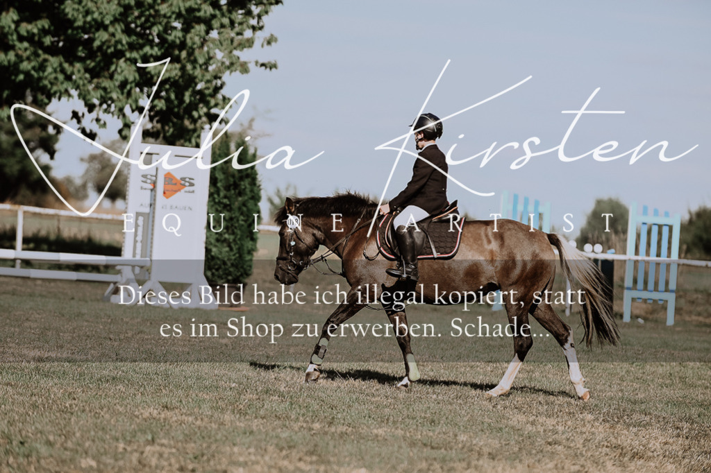 DSC_9451 | Pferde- und Turnierfotografie in Westsachsen. Pferdeportraits, Auftragszeichnungen und intuitive Kunst.