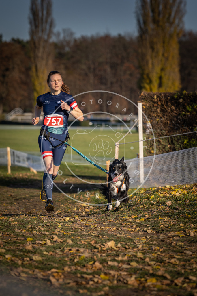 CaniXpix_DV3A2578 | Hundefotografie, Tierfotograf, Pfotenfotografie, Fotoshooting Hund, Hunde Portrait, Hundesport, Hundeportraits, Heideshooting, Hunde, Sportfotograf, Hundefotograf, Turnierhundsport, THS,  - Realisiert mit Pictrs.com
