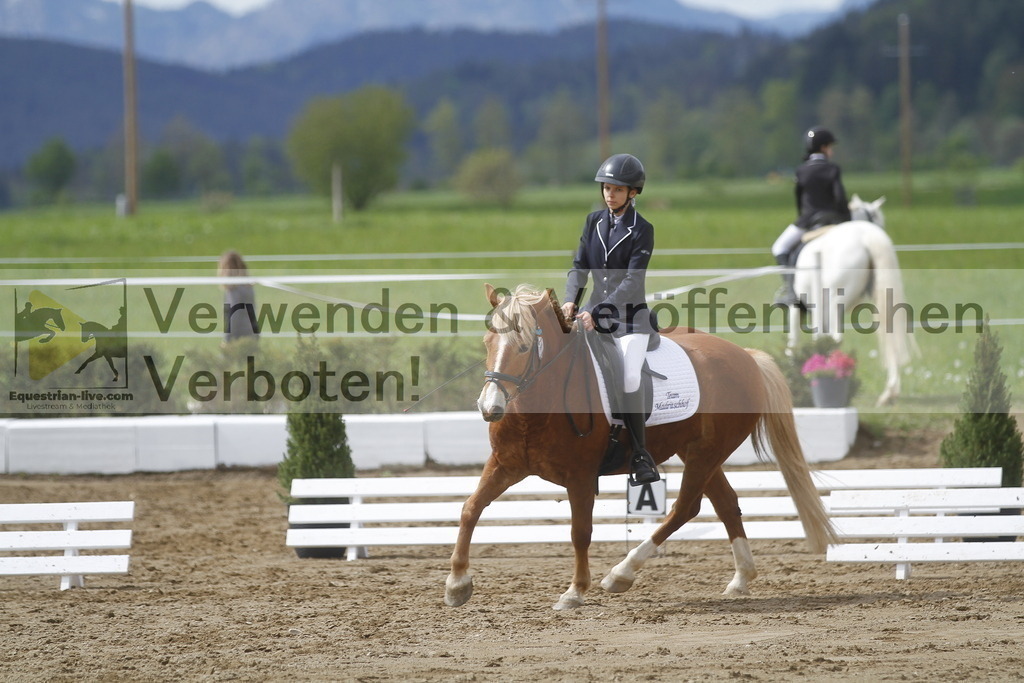 _MG_2936 | equestrian-live-com