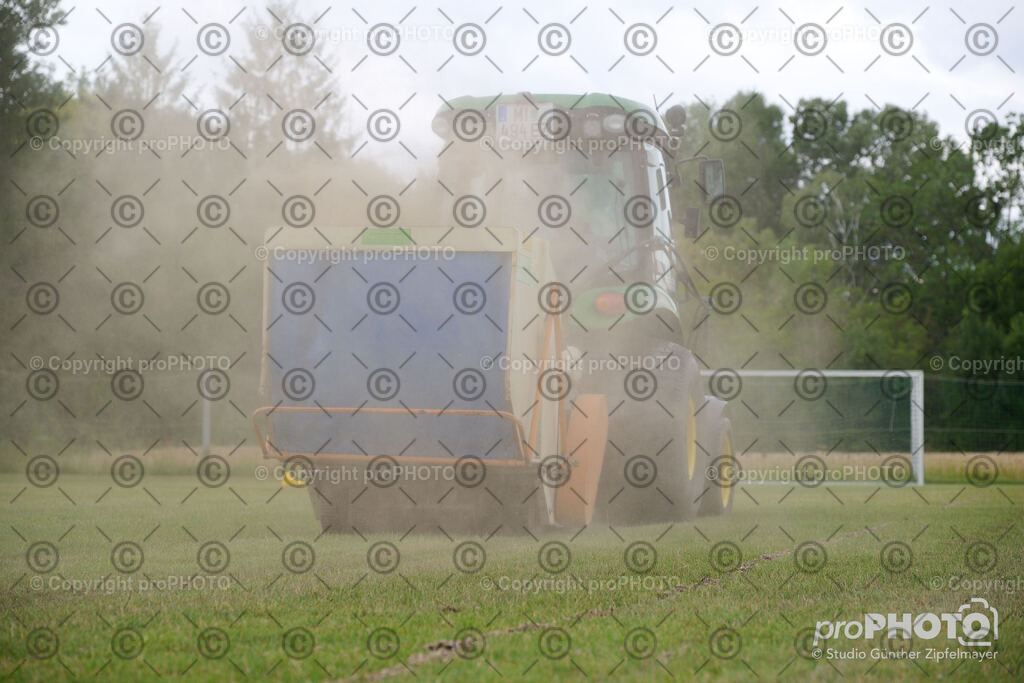 202507_Rernböck-Rasen_NZ9_1081 | proPHOTO - Realisiert mit Pictrs.com