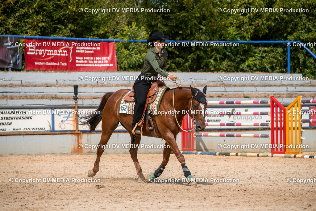 EWP_6009 | dv-media-shop - Realisiert mit Pictrs.com