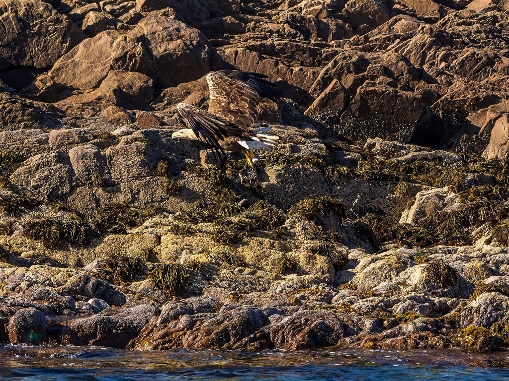 P1001651-LR-topaz-denoise-enhance | Natur im Moment - Realisiert mit Pictrs.com