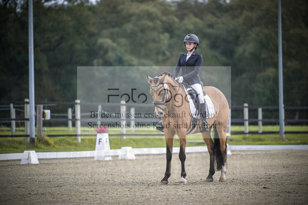 DOS_B401 | Entdecke hochwertige Reitturnierfotos von Foto Oger. Professionell, emotional und authentisch – jetzt Lieblingsmomente im Shop bestellen.Deutschlandweite Turnierfotografie. - Realisiert mit Pictrs.com