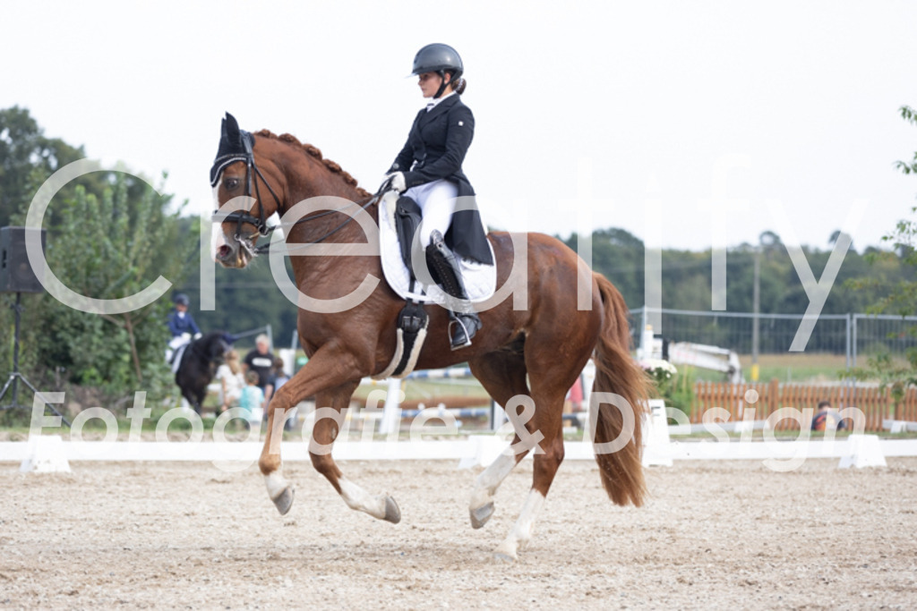 IMG_4815 | Creatify Fotografie