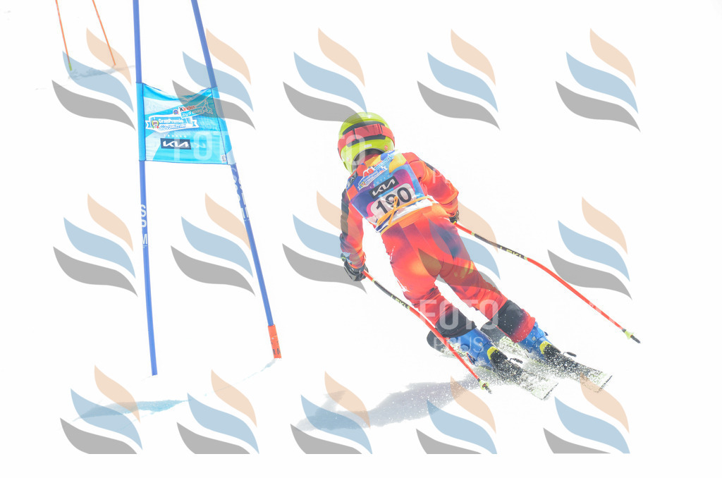 _ELE6792 | holidayphoto