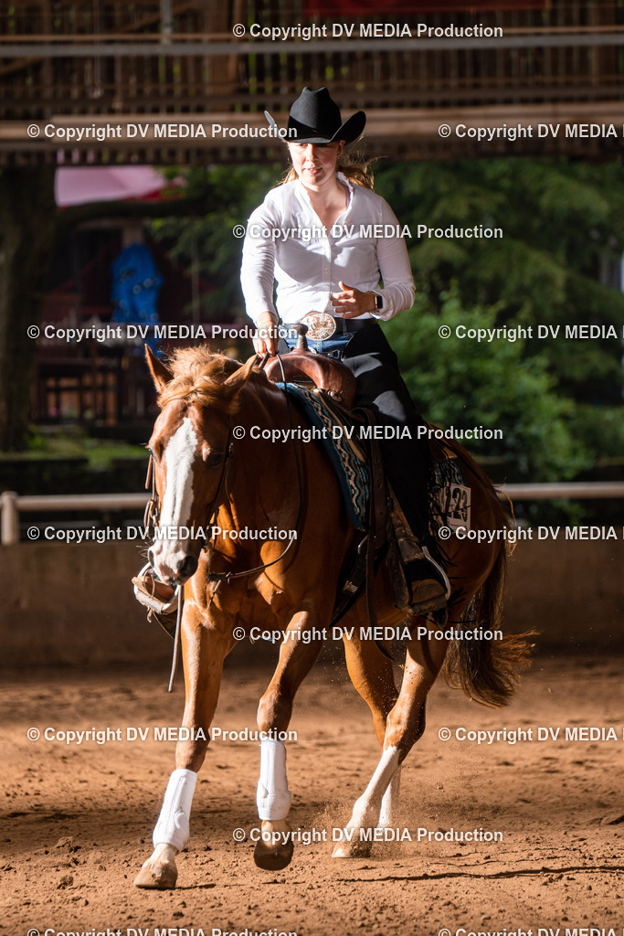 Erbach Tag 2-1005 | dv-media-shop - Realisiert mit Pictrs.com