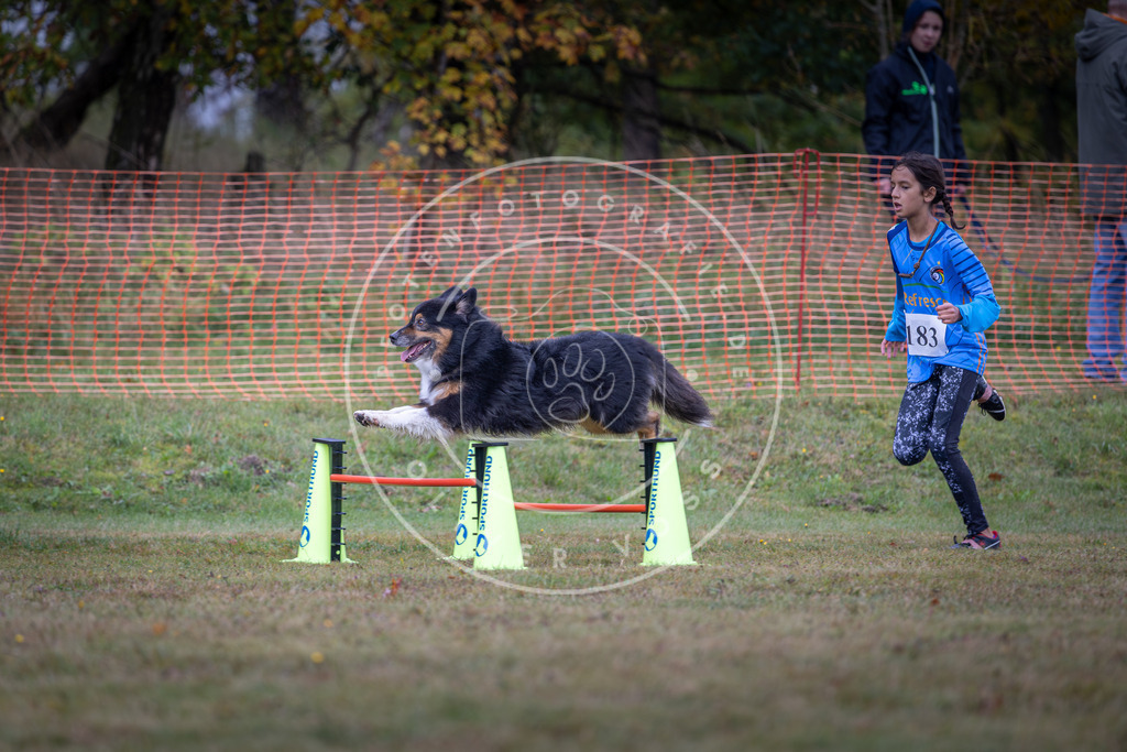 Pfotenfotografie_DV3A0377 | Hundefotografie, Tierfotograf, Pfotenfotografie, Fotoshooting Hund, Hunde Portrait, Hundesport, Hundeportraits, Heideshooting, Hunde, Sportfotograf, Hundefotograf, Turnierhundsport, THS,  - Realisiert mit Pictrs.com