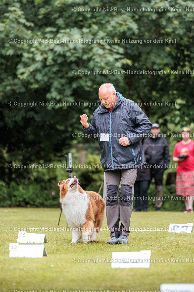 RO-Blumenthal-2026-Nickbest-Hundefotografie-0700 | Dein Hund! Dein Moment! Deine Erinnerungen! Hundefotografie in Bremen Blumenthal. Ich fange die besonderen Momente deines Vierbeiners ein – ob Indoor mit Blitzanlage oder in der freien Natur. Sicher dir dein Moment und dein Termin für eure Erinnerungen.