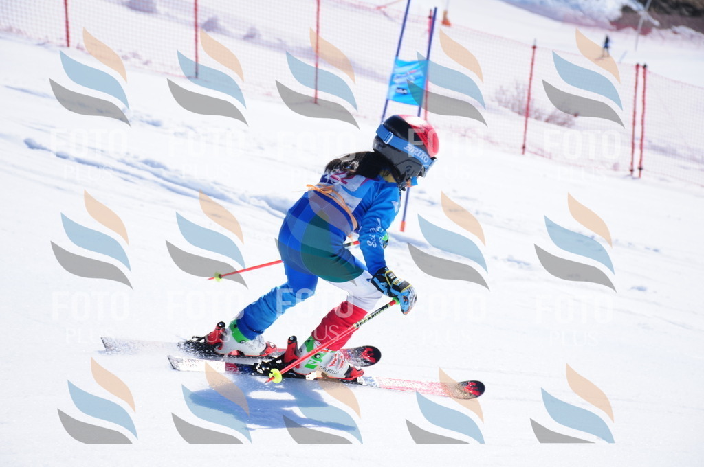 DSC_3832 | holidayphoto