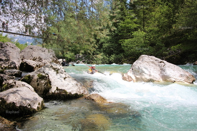IMG_3944 | Raphael - Realisiert mit Pictrs.com
