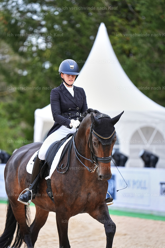 6-086-AMATUER-DRESSUR S_  -Marixx-3740 | working equitationturnier fotograf videograf stoibphotography marixx film working equitation deutschland reitsport turnierfotografie eventfotografie equestrian events