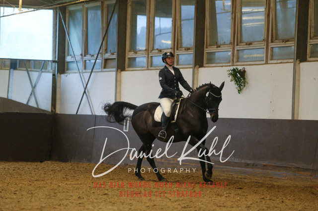 IMG_8162 | Turniersportfotografie; Pferdefotografie; Dressurfotografie