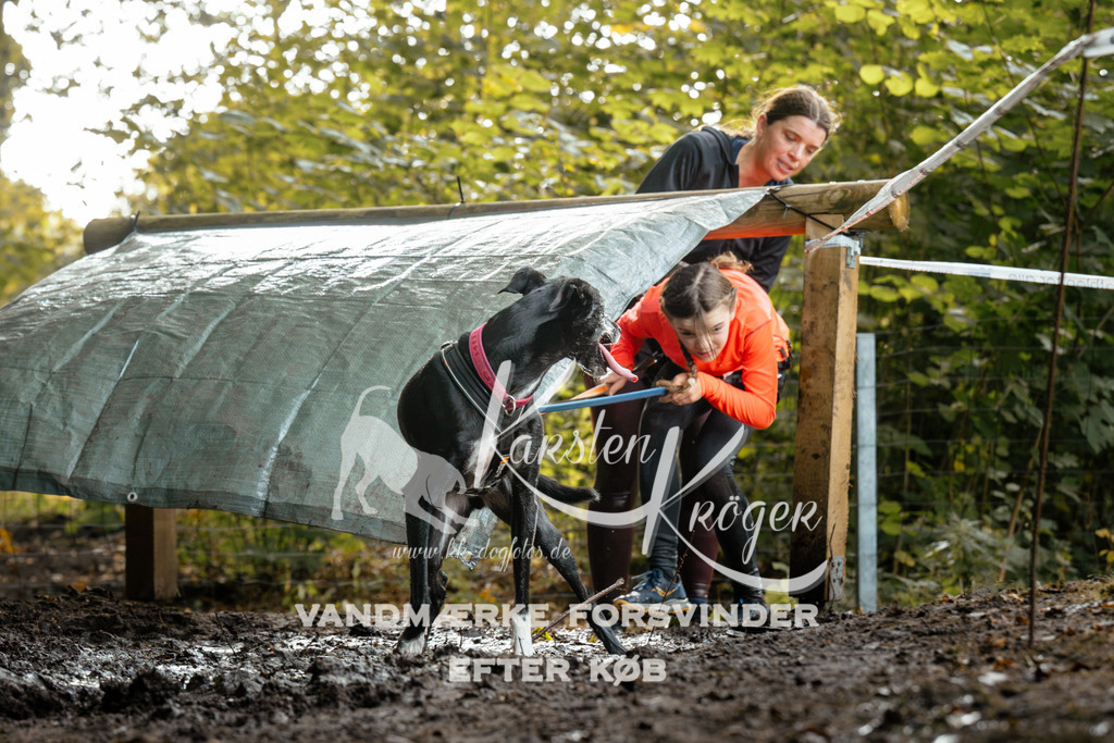 1447DZ6_3448Z6 | kk-dogfotos