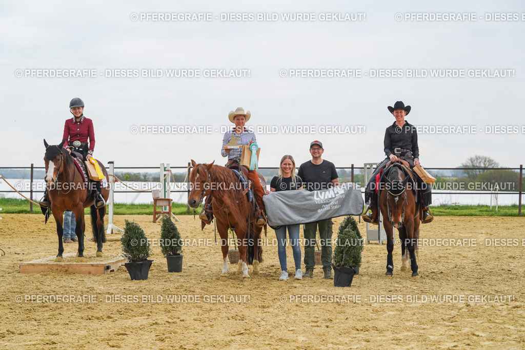 DSC07976 | Pferdegrafie