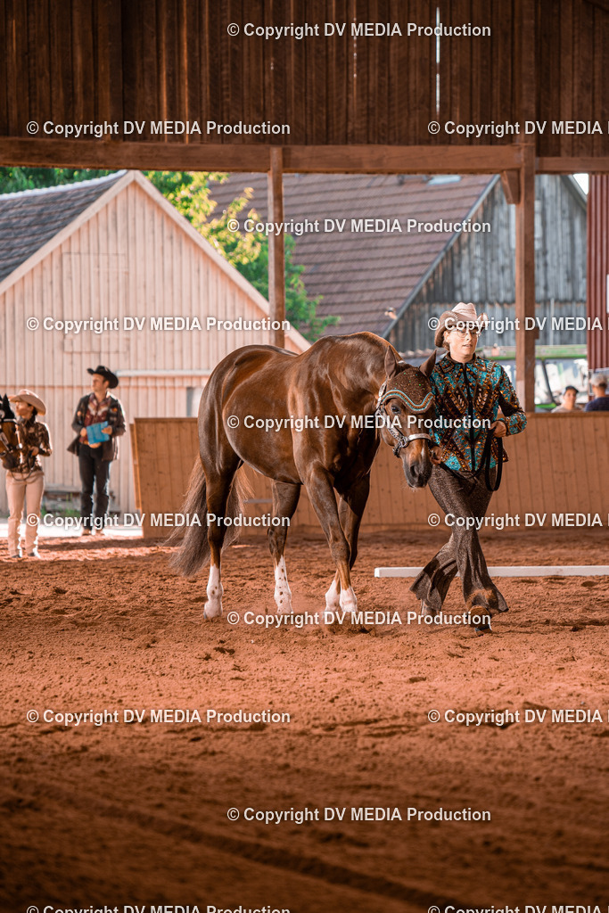 NE100104 | dv-media-shop - Realisiert mit Pictrs.com