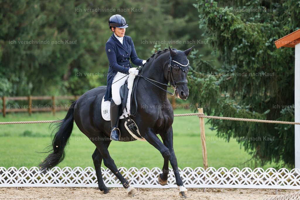 07-194-DRESSUR  S___  -StoibPH-5007 | working equitationturnier fotograf videograf stoibphotography marixx film working equitation deutschland reitsport turnierfotografie eventfotografie equestrian events