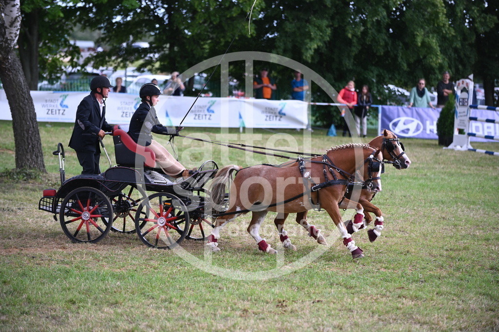 DSC_8661 | sattelsport - Realisiert mit Pictrs.com