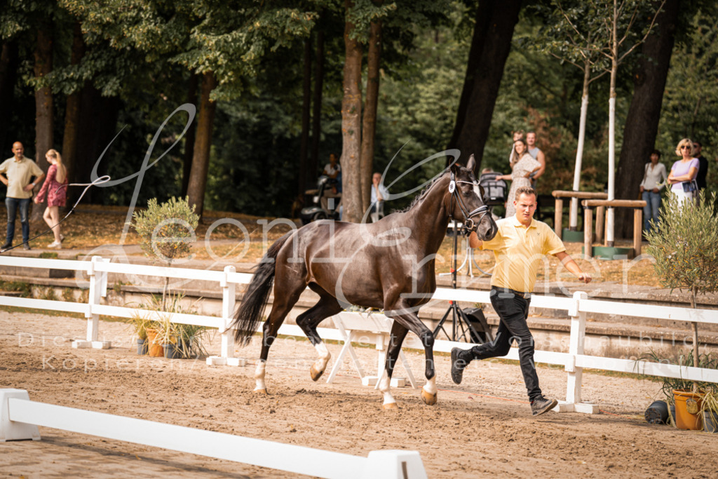 7.Fr00077 | Leoni Ertmer Photography - Realisiert mit Pictrs.com