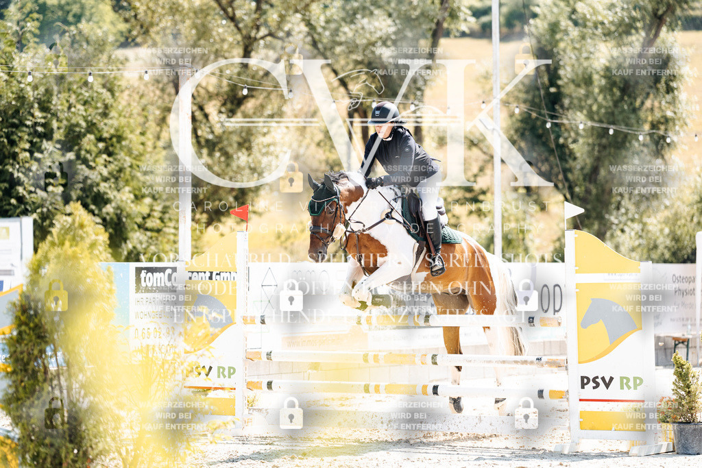 CK909347 | Turnierfotografie Pferdefotografie Trier Rheinland-Pfalz Pferdesport Reitsport Tierfotografie Sportfotografie Pferdevideo Pferdevideografie Equestrianvideography equestrianphotography  - Realisiert mit Pictrs.com