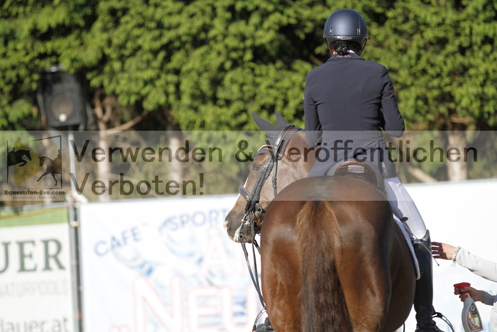 _MG_3247 | equestrian-live-com