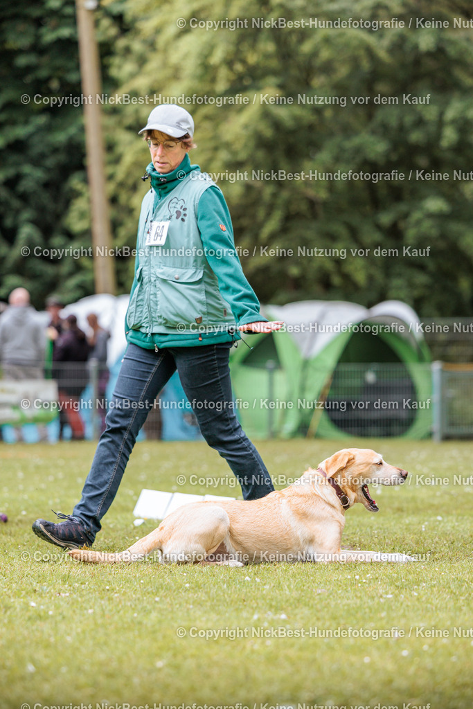 RO-Blumenthal-2026-Nickbest-Hundefotografie-1307 | Dein Hund! Dein Moment! Deine Erinnerungen! Hundefotografie in Bremen Blumenthal. Ich fange die besonderen Momente deines Vierbeiners ein – ob Indoor mit Blitzanlage oder in der freien Natur. Sicher dir dein Moment und dein Termin für eure Erinnerungen.